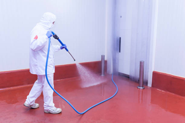 Best Paint Preparation  in Point Pleasant, NJ