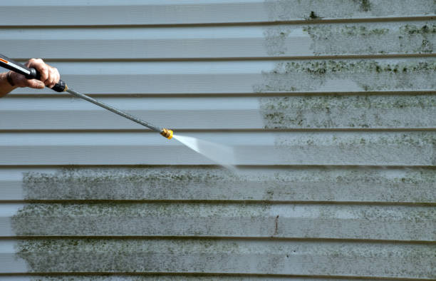 Best Driveway Pressure Washing  in Point Pleasant, NJ